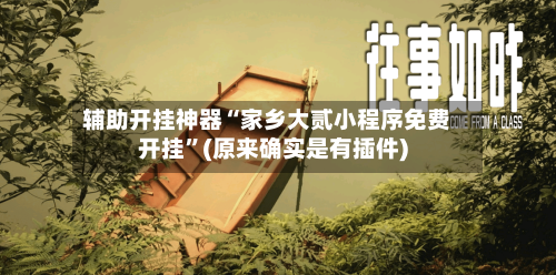 辅助开挂神器“家乡大贰小程序免费开挂”(原来确实是有插件)-第3张图片