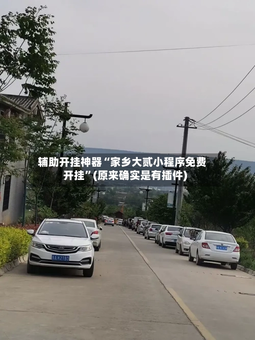 辅助开挂神器“家乡大贰小程序免费开挂	”(原来确实是有插件)-第1张图片