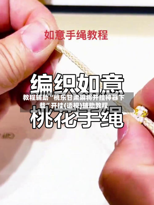 教程辅助“桃乐甘肃麻将开挂神器下载”开挂(透视)辅助教程-第2张图片