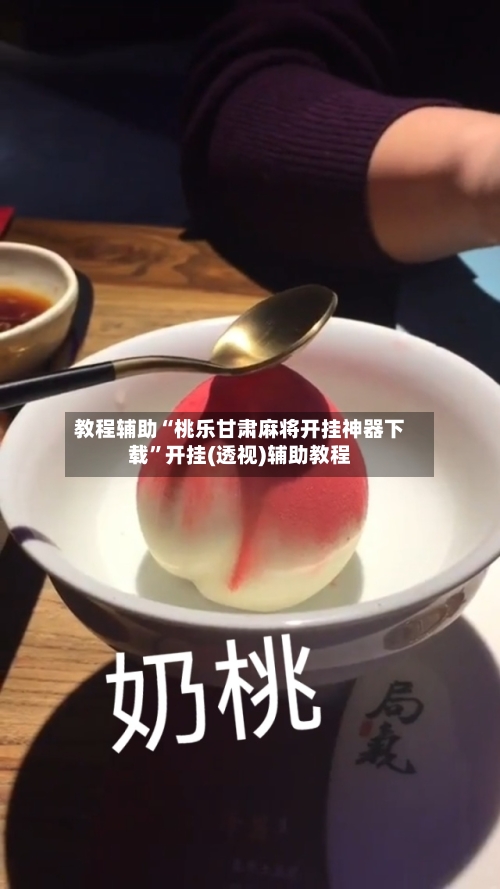 教程辅助“桃乐甘肃麻将开挂神器下载	”开挂(透视)辅助教程-第1张图片