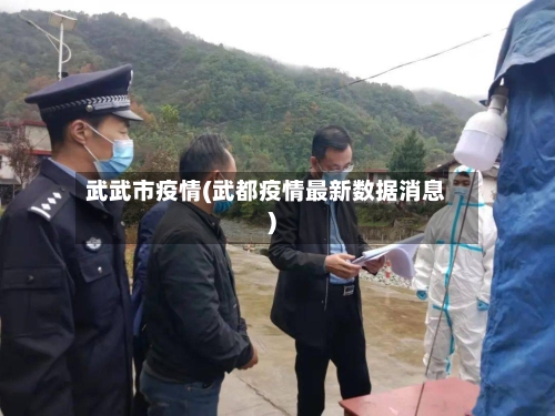 武武市疫情(武都疫情最新数据消息)-第3张图片