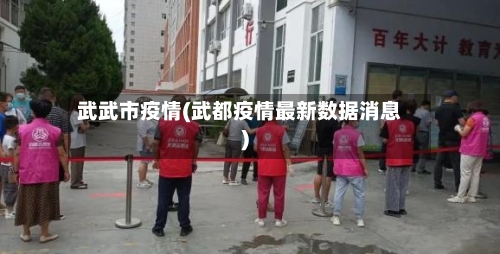 武武市疫情(武都疫情最新数据消息)-第1张图片
