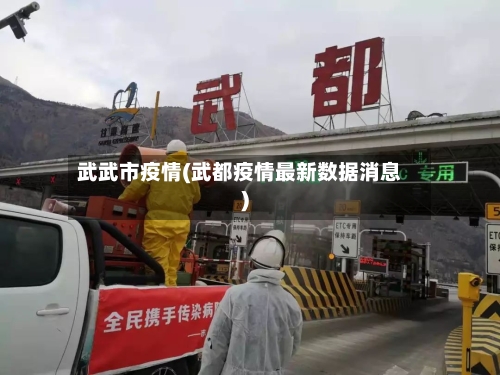 武武市疫情(武都疫情最新数据消息)-第2张图片