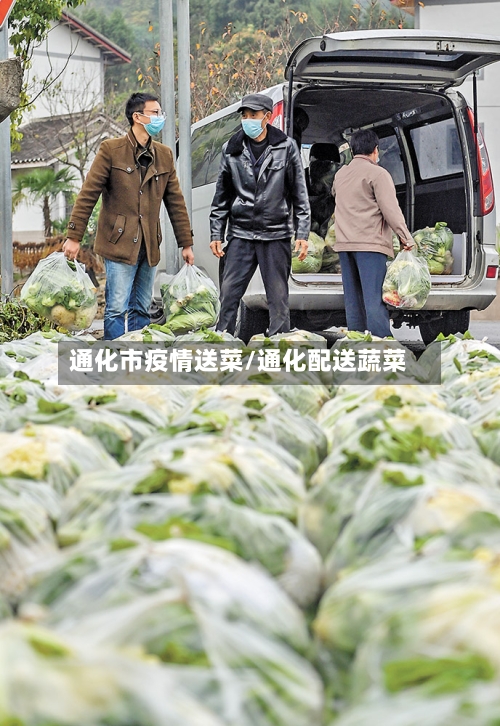 通化市疫情送菜/通化配送蔬菜-第1张图片