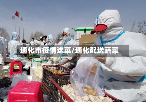 通化市疫情送菜/通化配送蔬菜-第2张图片