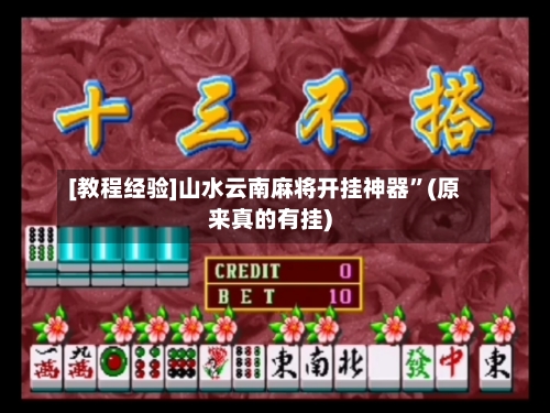 [教程经验]山水云南麻将开挂神器	”(原来真的有挂)-第2张图片