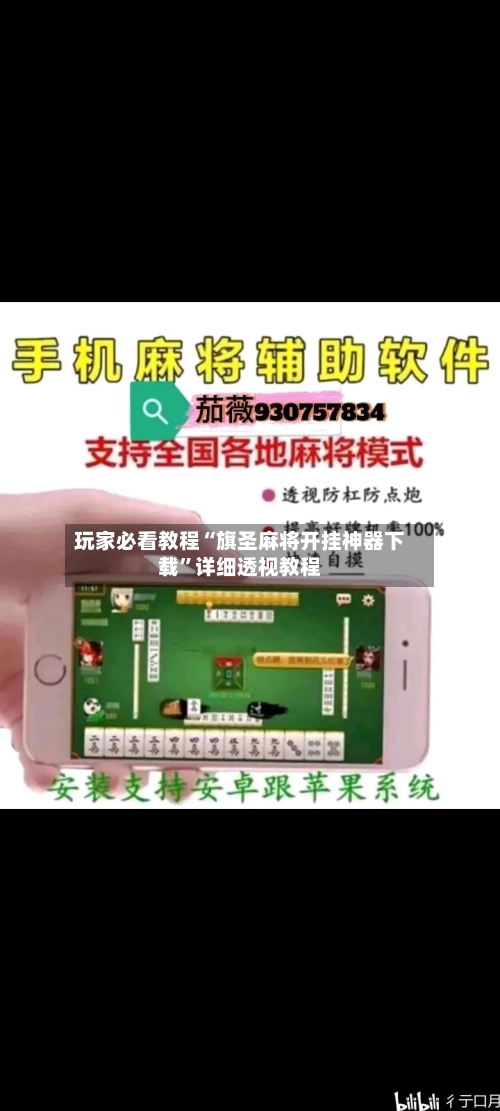 玩家必看教程“旗圣麻将开挂神器下载”详细透视教程-第3张图片