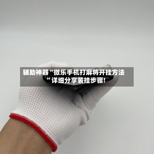 辅助神器“微乐手机打麻将开挂方法”详细分享装挂步骤!-第3张图片