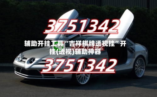 辅助开挂工具“吉祥棋牌透视挂	”开挂(透视)辅助神器-第2张图片
