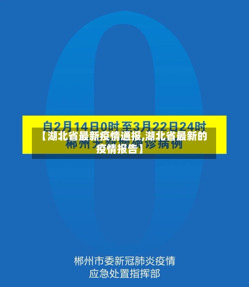 【湖北省最新疫情通报,湖北省最新的疫情报告】-第1张图片