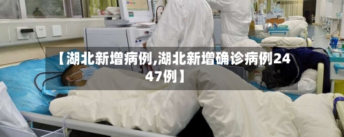 【湖北新增病例,湖北新增确诊病例2447例】-第3张图片