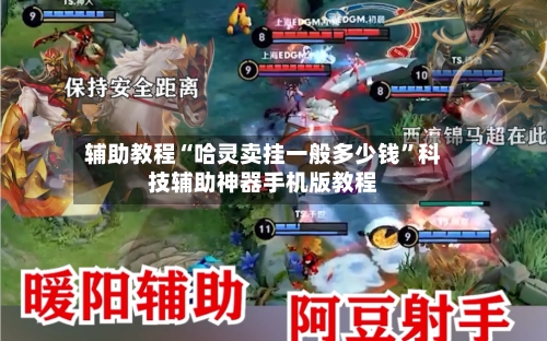 辅助教程“哈灵卖挂一般多少钱”科技辅助神器手机版教程-第3张图片