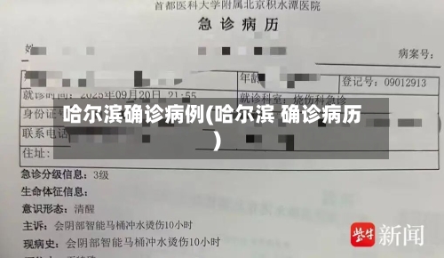 哈尔滨确诊病例(哈尔滨 确诊病历)-第3张图片