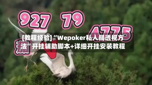 [教程经验]“Wepoker私人局透视方法”开挂辅助脚本+详细开挂安装教程-第2张图片