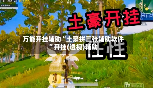 万能开挂辅助“土豪拼三张辅助软件”开挂(透视)辅助-第3张图片