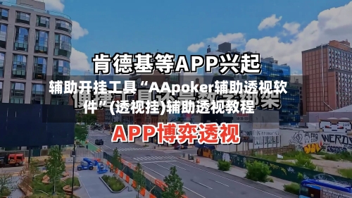 辅助开挂工具“AApoker辅助透视软件”(透视挂)辅助透视教程-第2张图片