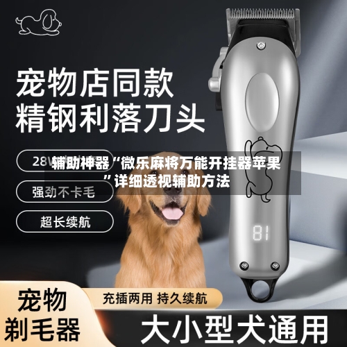 辅助神器“微乐麻将万能开挂器苹果”详细透视辅助方法-第1张图片