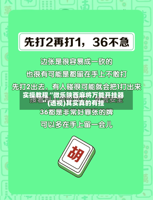 实操教程“微乐陕西麻将万能开挂器”(透视)其实真的有挂-第3张图片