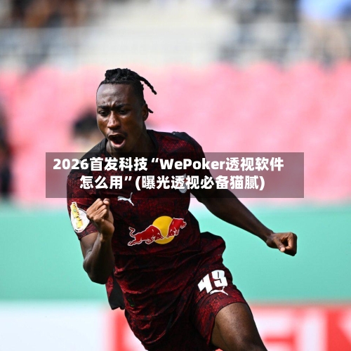 2026首发科技“WePoker透视软件怎么用	”(曝光透视必备猫腻)-第2张图片