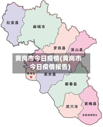 黄岗市今日疫情(黄岗市今日疫情报告)-第2张图片