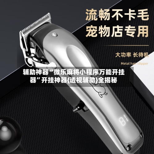 辅助神器“微乐麻将小程序万能开挂器”开挂神器{透视辅助}全揭秘-第1张图片