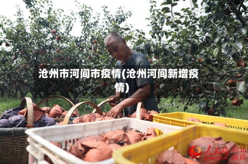 沧州市河间市疫情(沧州河间新增疫情)-第3张图片
