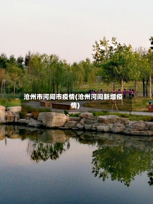 沧州市河间市疫情(沧州河间新增疫情)-第1张图片
