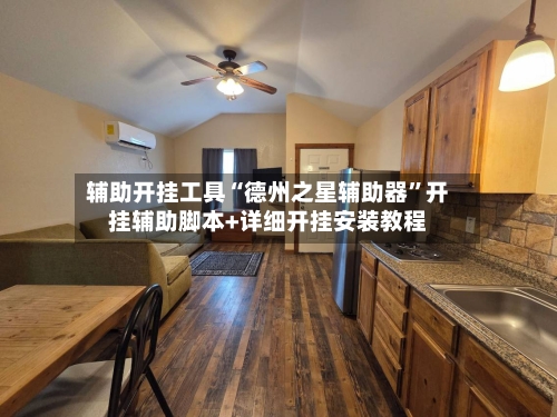 辅助开挂工具“德州之星辅助器”开挂辅助脚本+详细开挂安装教程-第1张图片