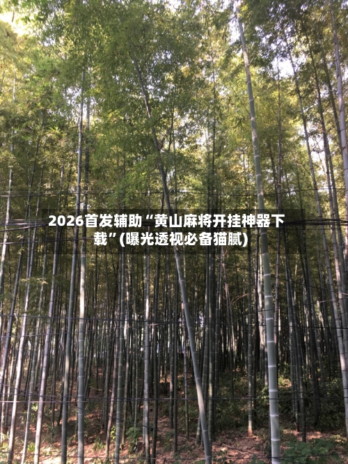 2026首发辅助“黄山麻将开挂神器下载	”(曝光透视必备猫腻)-第2张图片