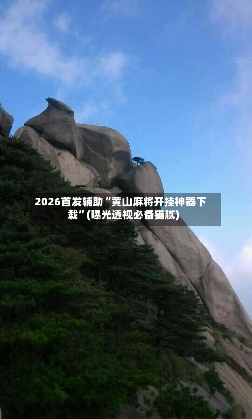 2026首发辅助“黄山麻将开挂神器下载”(曝光透视必备猫腻)-第3张图片