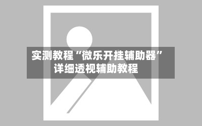实测教程“微乐开挂辅助器	”详细透视辅助教程-第2张图片