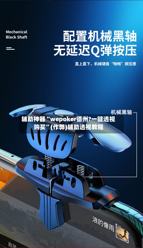 辅助神器“wepoker德州?一键透视购买”(作弊)辅助透视教程-第1张图片