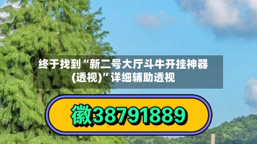 终于找到“新二号大厅斗牛开挂神器(透视)	”详细辅助透视-第2张图片