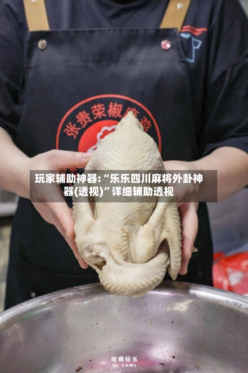 玩家辅助神器:“乐乐四川麻将外卦神器(透视)	”详细辅助透视-第1张图片