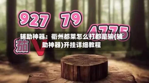 辅助神器：衢州都莱怎么打都是输(辅助神器)开挂详细教程-第1张图片