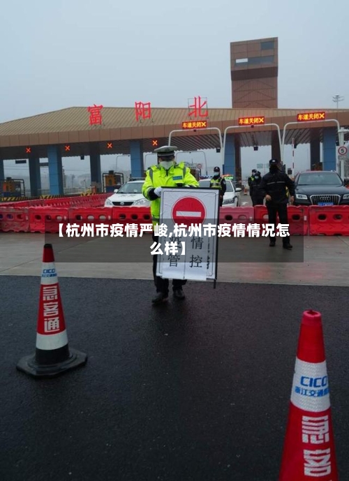 【杭州市疫情严峻,杭州市疫情情况怎么样】-第3张图片
