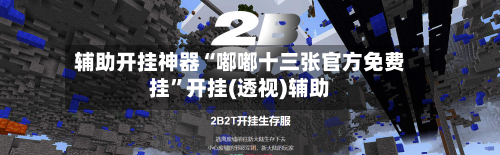 辅助开挂神器“嘟嘟十三张官方免费挂	”开挂(透视)辅助-第3张图片
