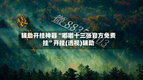 辅助开挂神器“嘟嘟十三张官方免费挂”开挂(透视)辅助-第2张图片