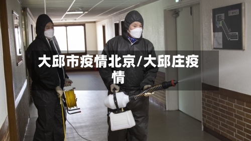 大邱市疫情北京/大邱庄疫情-第2张图片