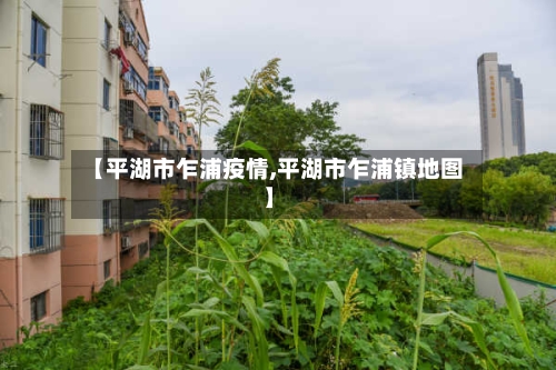 【平湖市乍浦疫情,平湖市乍浦镇地图】-第3张图片
