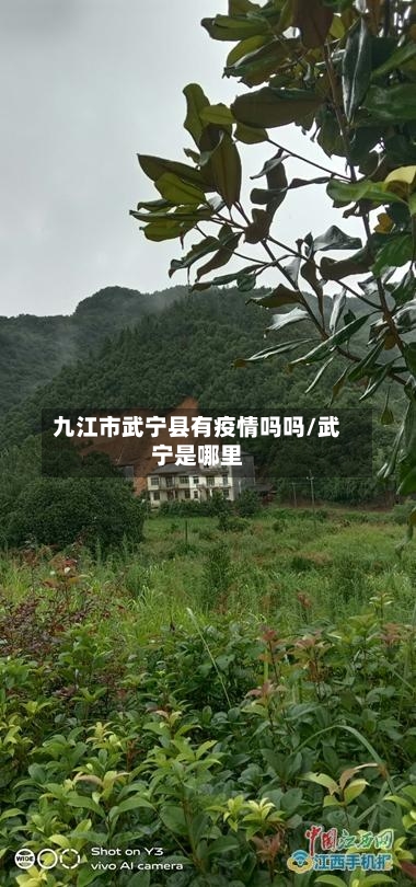 九江市武宁县有疫情吗吗/武宁是哪里-第1张图片