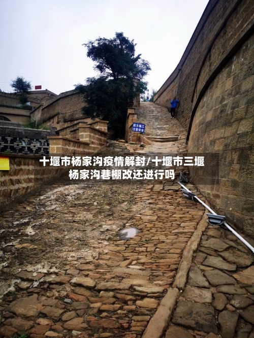 十堰市杨家沟疫情解封/十堰市三堰杨家沟巷棚改还进行吗-第1张图片