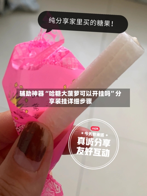 辅助神器“哈糖大菠萝可以开挂吗	”分享装挂详细步骤-第3张图片