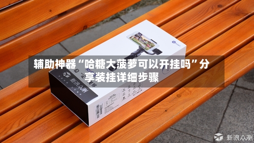 辅助神器“哈糖大菠萝可以开挂吗”分享装挂详细步骤-第2张图片