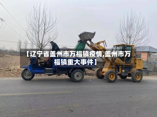 【辽宁省盖州市万福镇疫情,盖州市万福镇重大事件】-第1张图片