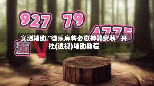 实测辅助“微乐麻将必赢神器安装”开挂(透视)辅助教程-第2张图片