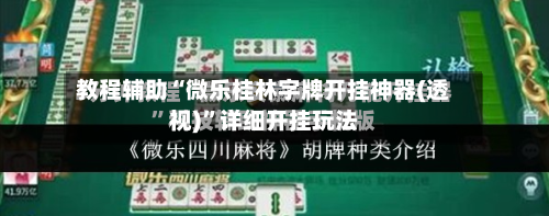 教程辅助“微乐桂林字牌开挂神器(透视)”详细开挂玩法-第1张图片