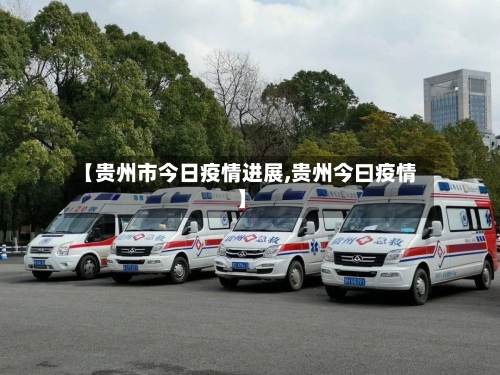 【贵州市今日疫情进展,贵州今曰疫情】-第3张图片