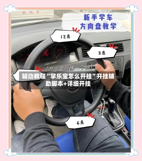 辅助教程“掌乐宝怎么开挂	”开挂辅助脚本+详细开挂-第1张图片
