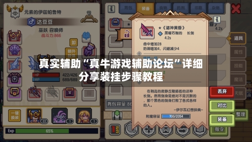 真实辅助“真牛游戏辅助论坛”详细分享装挂步骤教程-第2张图片
